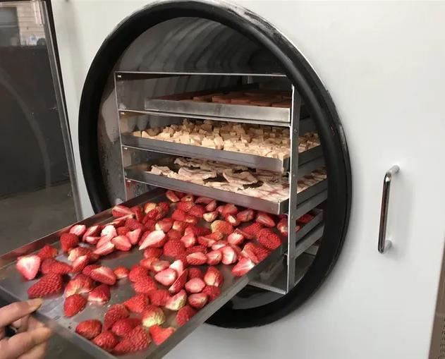 freeze dryer home