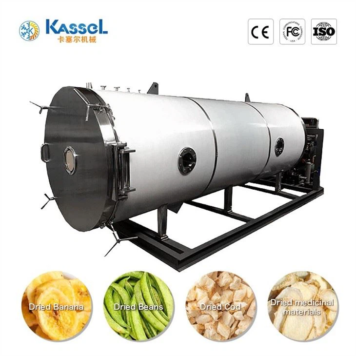 China Vacuum Freeze Dryer manufacturers